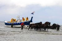 Paardenreddingsboot1