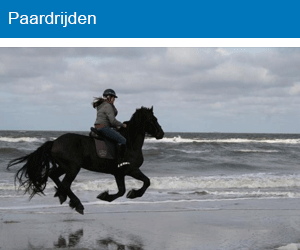 Paardrijden