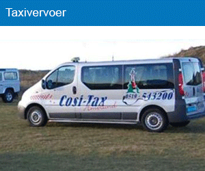 Taxivervoer