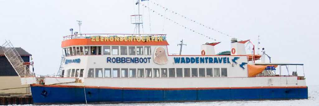 msameland900x300.a2e43e62